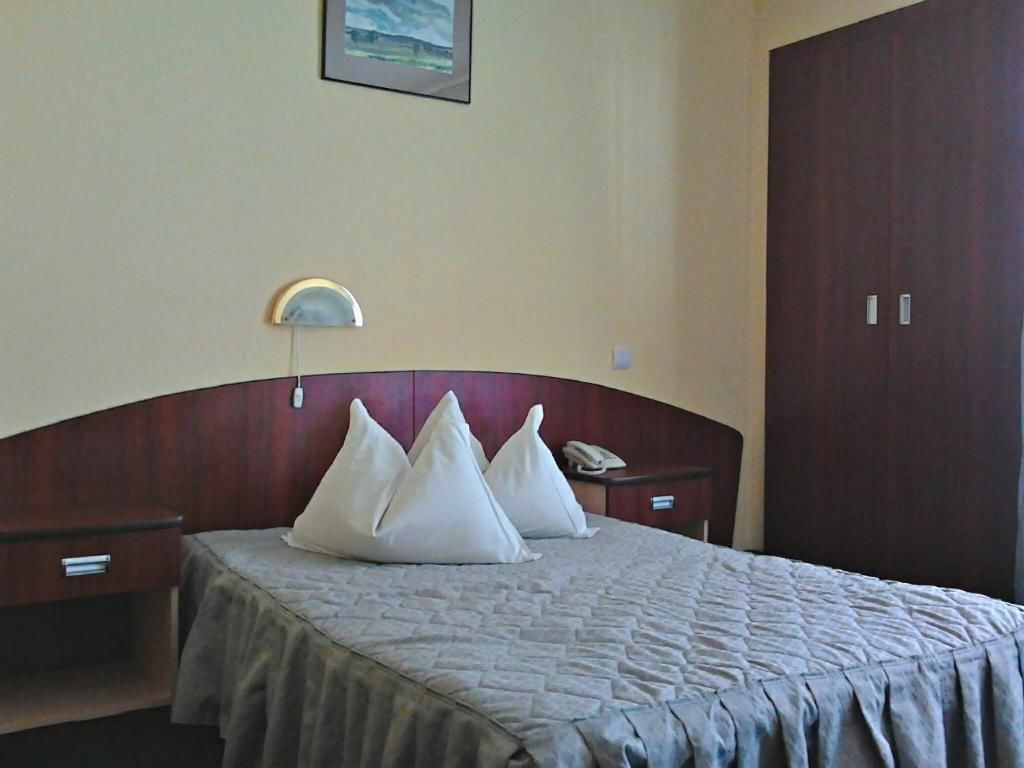 Отель Hotel Silva Busteni Буштени-50