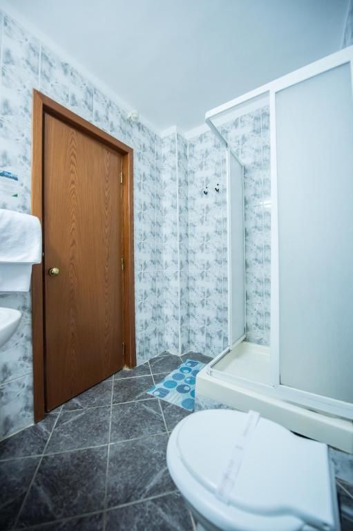 Отель Hotel Silva Busteni Буштени